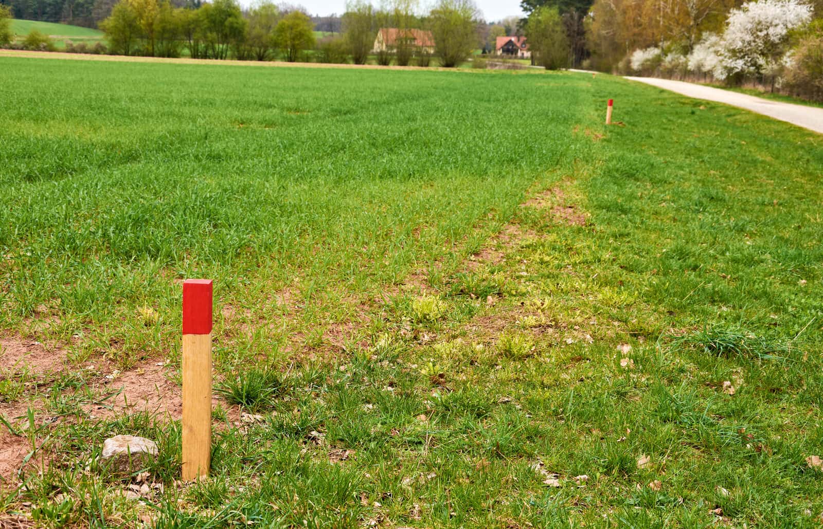 Preparing Your Land for a Manufactured Home Preferred Homes